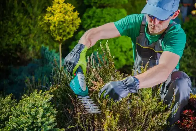 landscaping services Morgandale